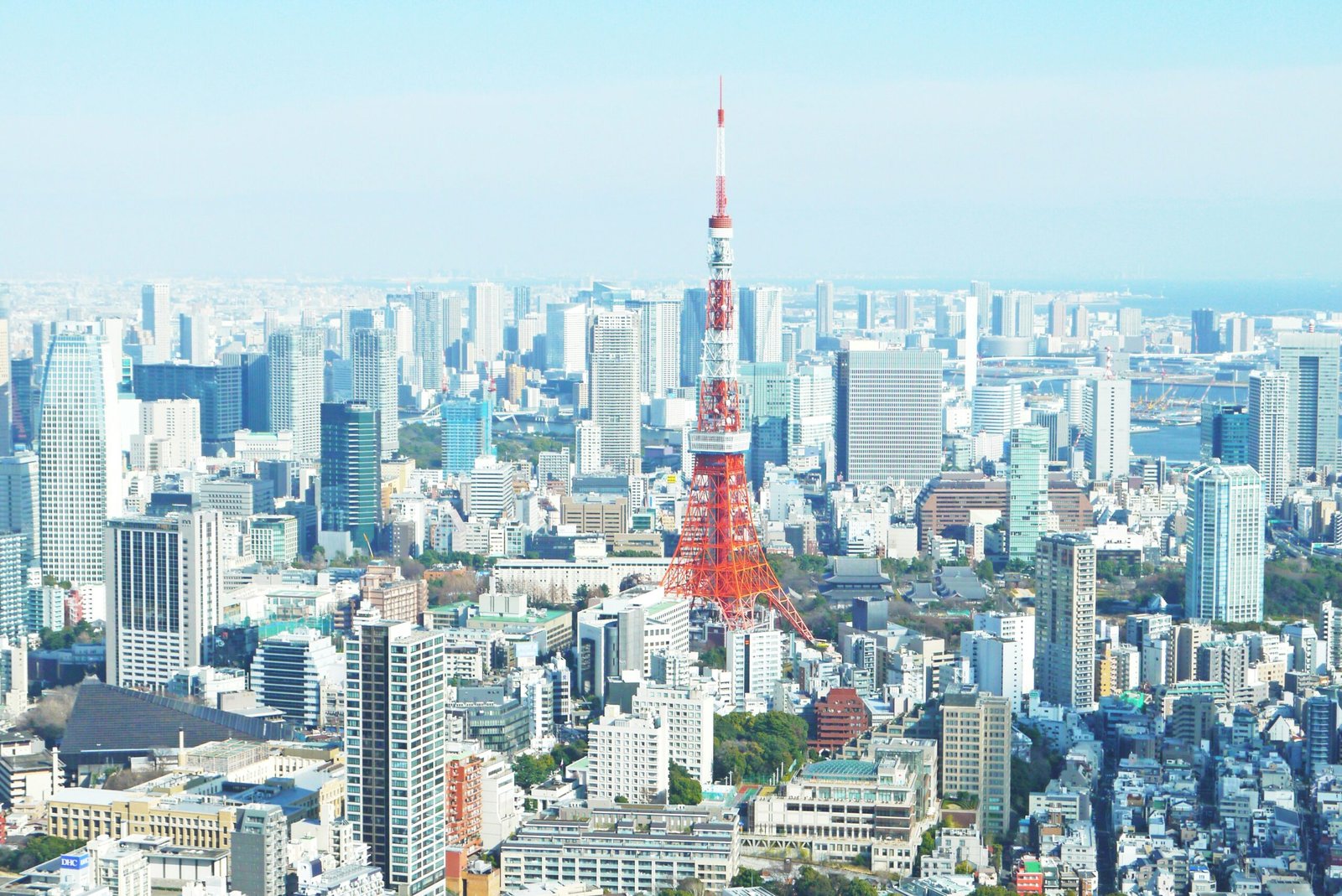 Tokyo: The Global Hub and the Ultimate Metropolis